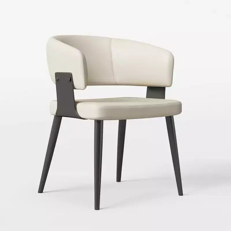 Chaises de salle à manger style ferme, lot de 2, cadre en métal, sièges modernes pour cuisine et salle à manger