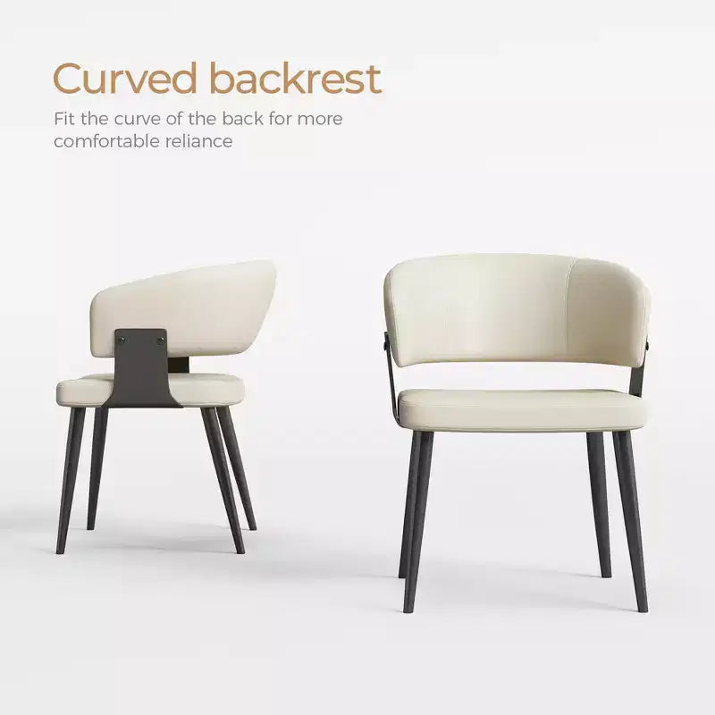 Chaises de salle à manger style ferme, lot de 2, cadre en métal, sièges modernes pour cuisine et salle à manger