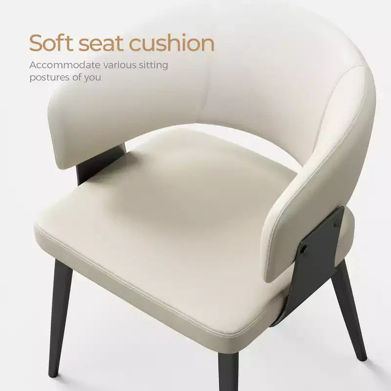 Chaises de salle à manger style ferme, lot de 2, cadre en métal, sièges modernes pour cuisine et salle à manger