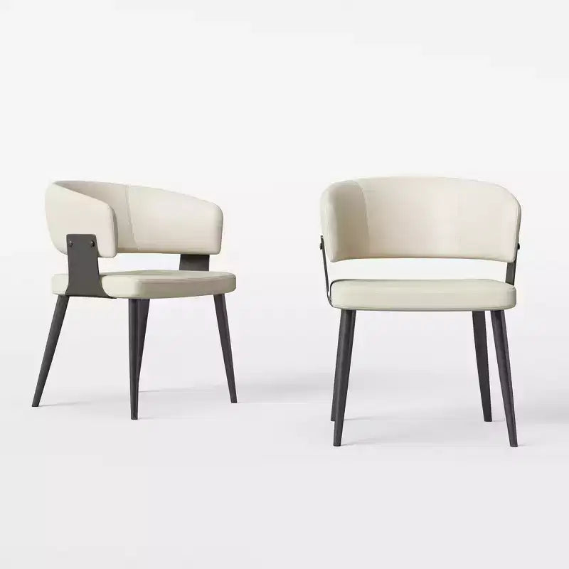Chaises de salle à manger style ferme, lot de 2, cadre en métal, sièges modernes pour cuisine et salle à manger
