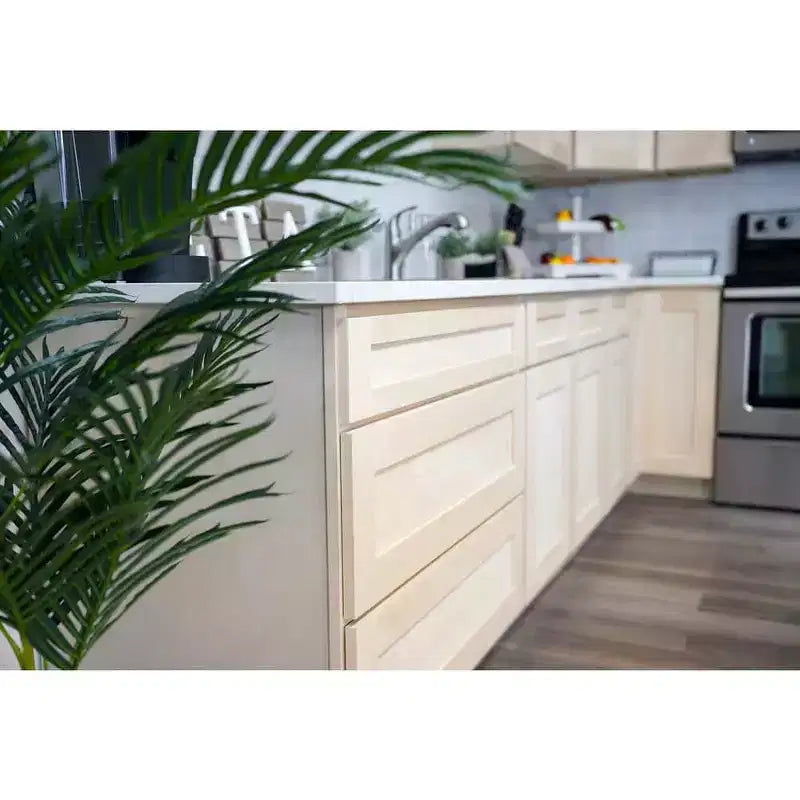 Meuble bas de cuisine 18 po l. x 34,5 po H x 24 po P avec tiroir Cadre en contreplaqué Fermeture amortie - Recouvrement total RTA